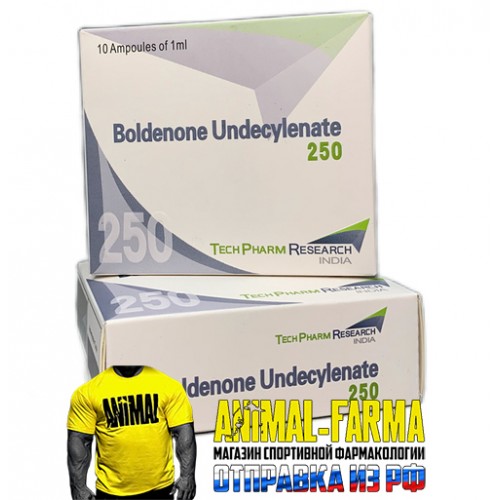 BOLDENONE UNDECYLENATE TechPharm (Индия) ампула 1ml|250mg