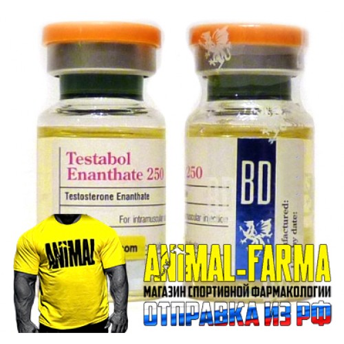 Testabol Enanthate-250 British Dragon - Флакон 10мл, в 1мл/250мг