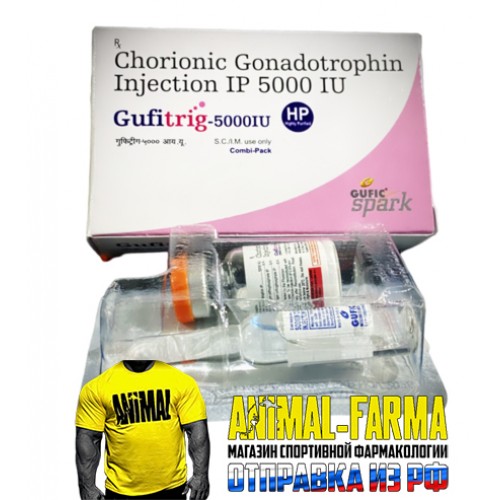 Гонадотропин Chorionic Gonadotrophin Gufic (Аптека, India) - Флакон 5 000 Ед. + растворитель хлорида 2 мл.