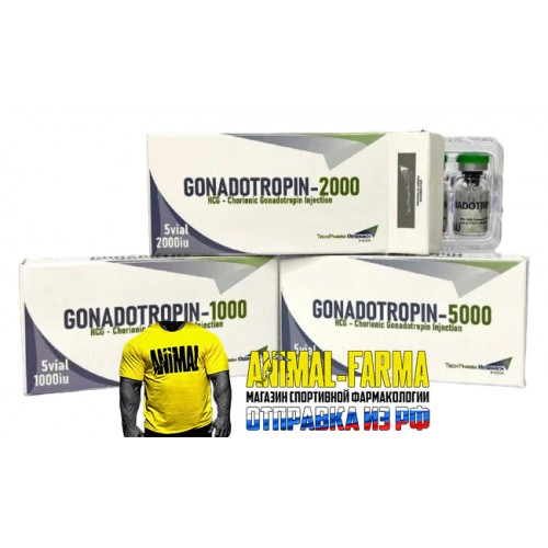 Gonadotropin-5000 TechPharm 1фл|1000ед Флакон БЕЗ растворитель хлорида