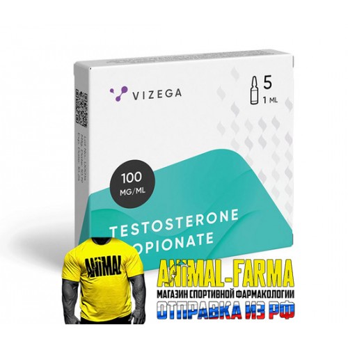 Testosterone Propionate Vizega (Индия) - Упаковка 5 шт. 1ml|100mg