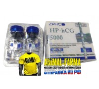 Гонадотропин GONADOTROPIN HP-hCG 5000 - Флакон 5 000 Ед. + растворитель хлорида 2 мл.