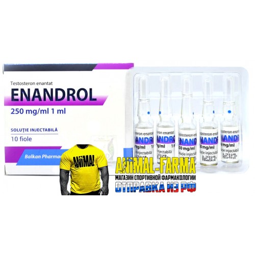 Enandrol (Testosterona E) Balkan - Ампула по 1 мл, 1мл/250мг